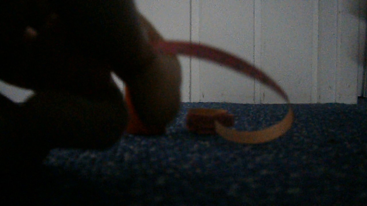 klappertjespistool munitie