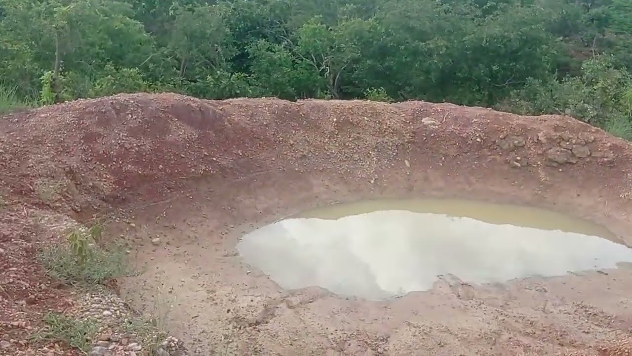 A roça agradece com essas chuvas, sertão está em festa🌧️🌧️🙌🏻🙏🏻🌵☀️🌵