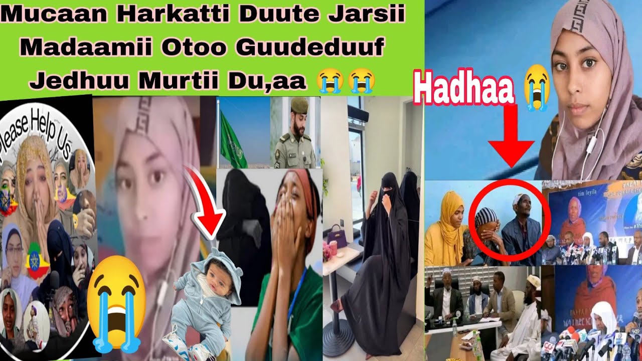 Murtii Du, aa 😭😭 Mucaa Kuffiistee Abbaan manaa Madaamii Ishee Gudeeduuf Otoo Yaaluu ⁉️