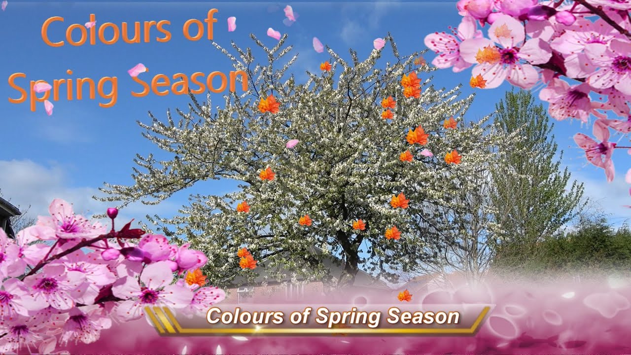 Spectacular Colours of Spring Season in England