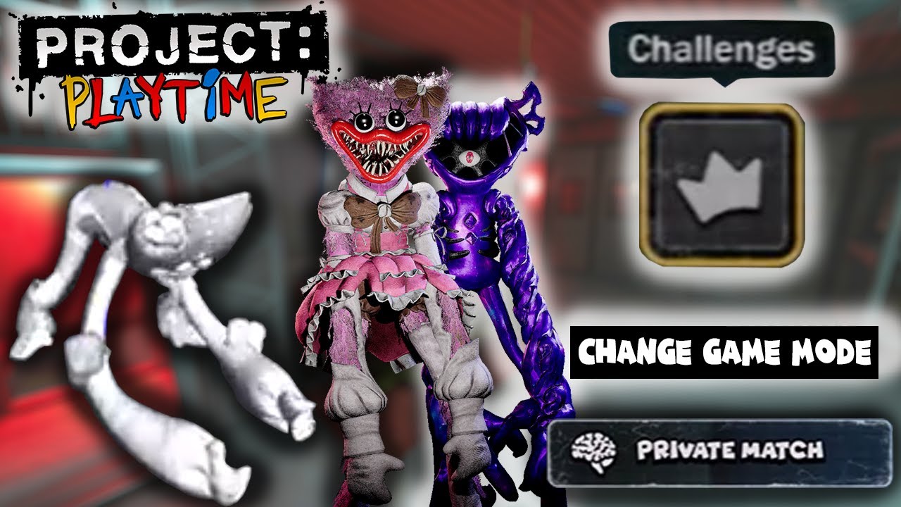 New Interesting LEAKS!? - Project: Playtime