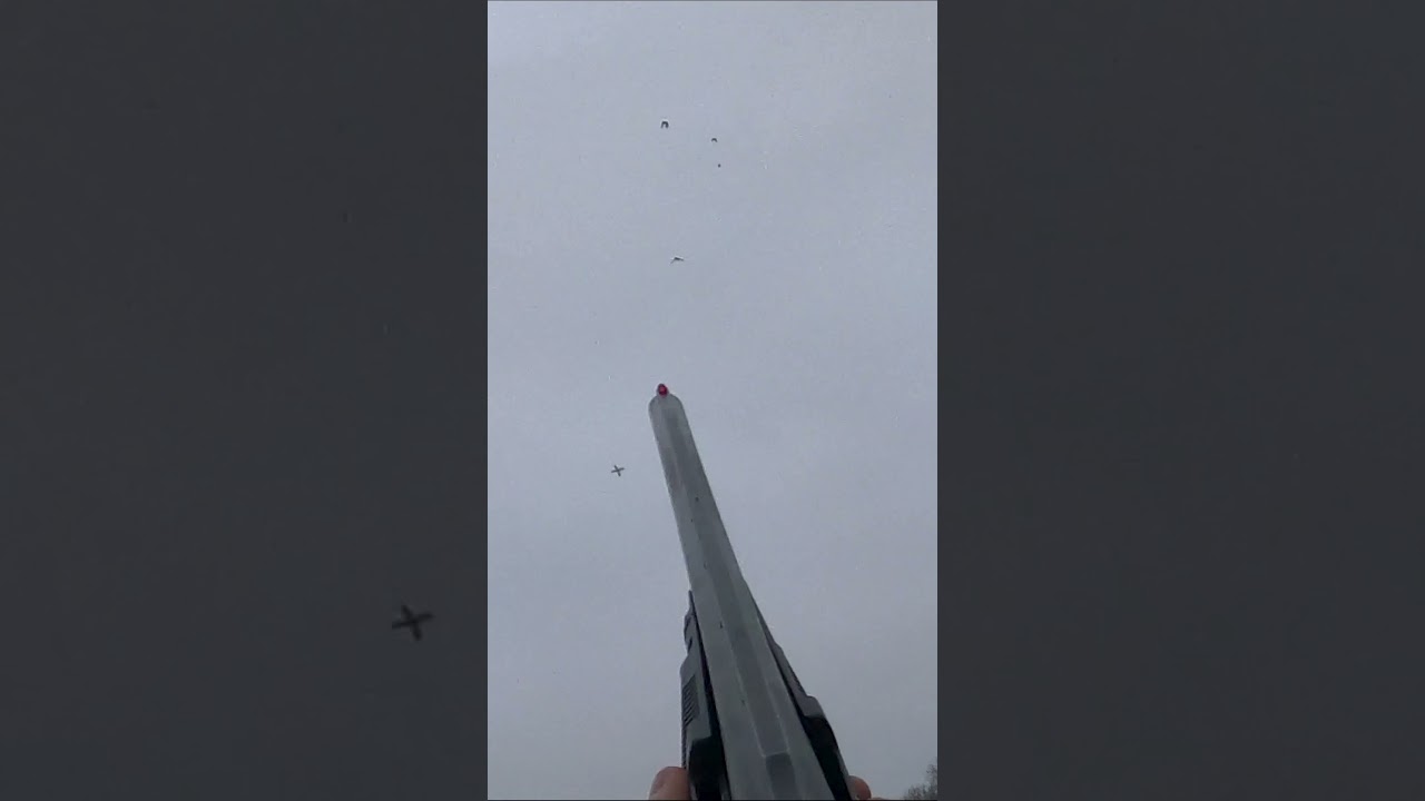Mallard smacks ice after epic fall! 