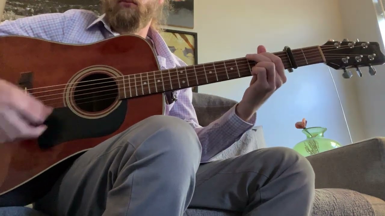 1992 Washburn D-12 BR