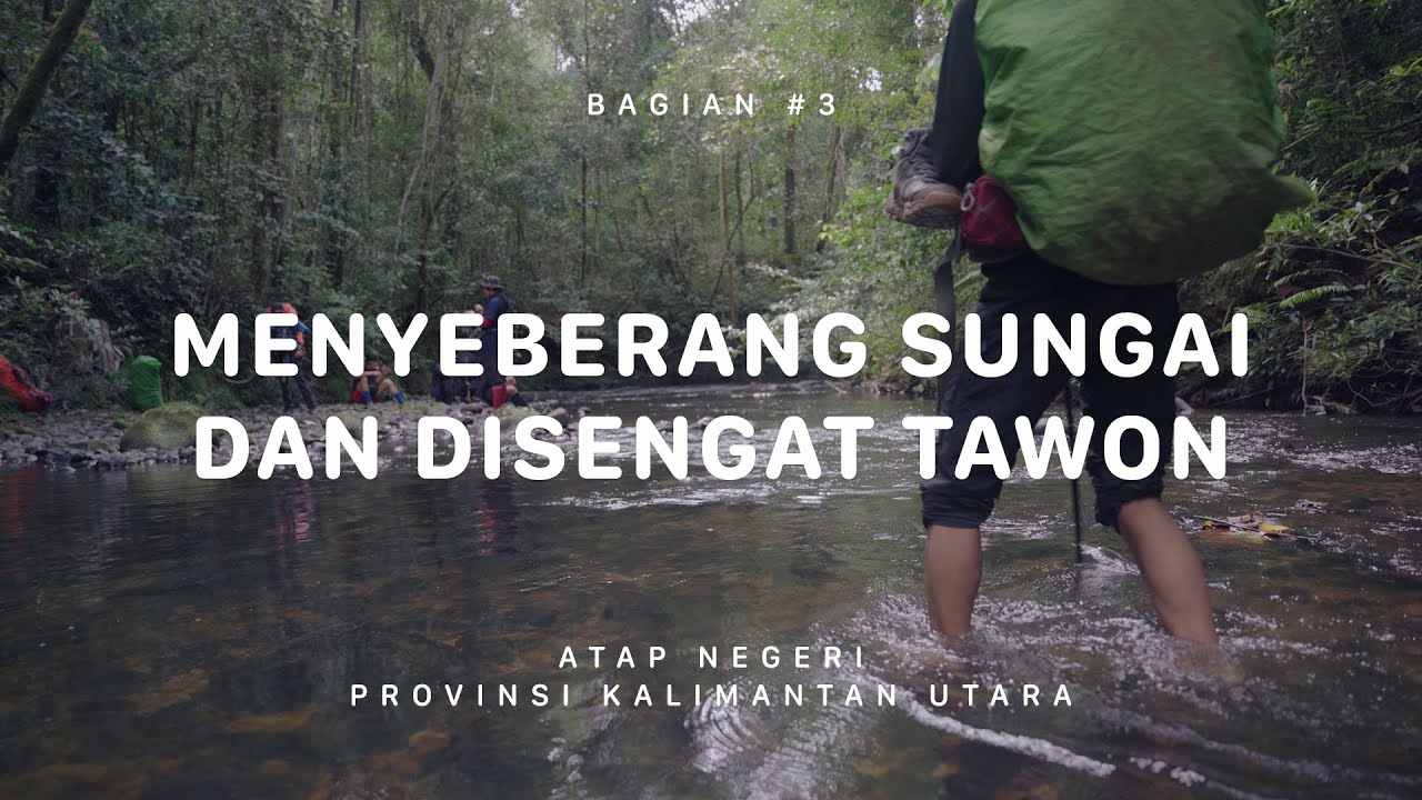 GUNUNG HARUN - Atap Negeri Kalimantan Utara #3