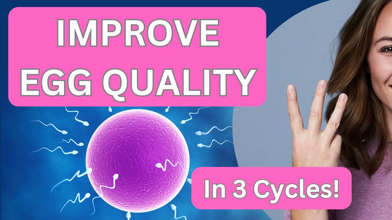 How to Improve Egg Quality in 3 Cycles | Fertility Boosting Tips