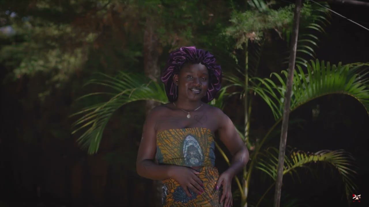 Sky jay _-_ndipite_-_(official_video)