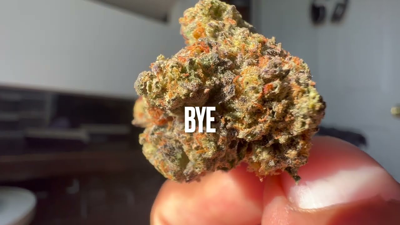 random stoner comp 4