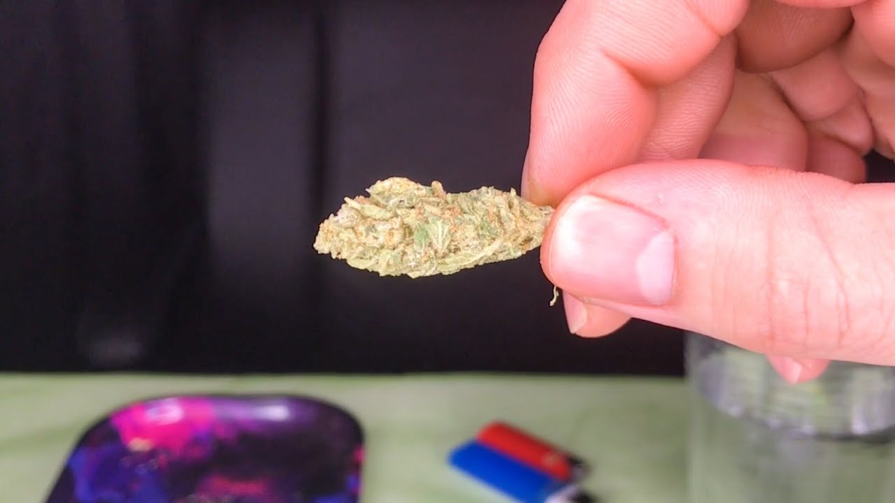Vanilla Gorilla Strain Review!