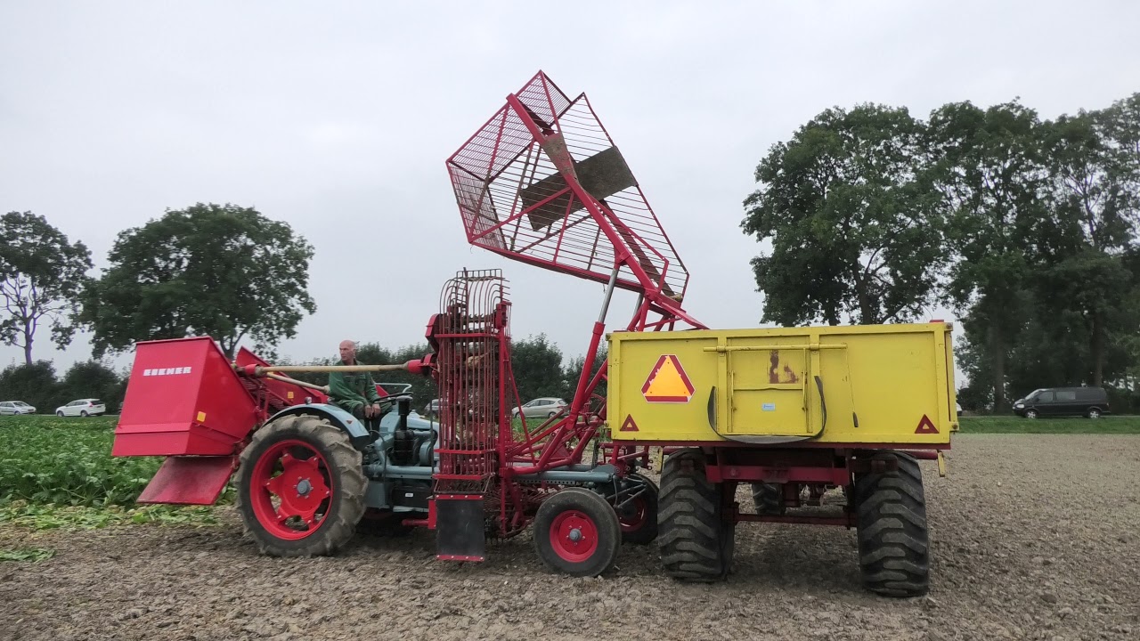 BIETEN ROOIEN MET OLDTIMERS EICHER MET BIETENROOIER