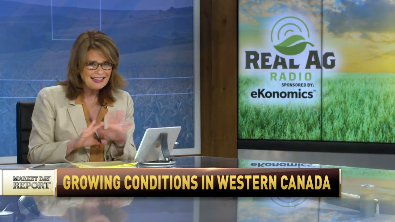 Market Day Report: Growing conditions in Western Canada, May 21, 2024