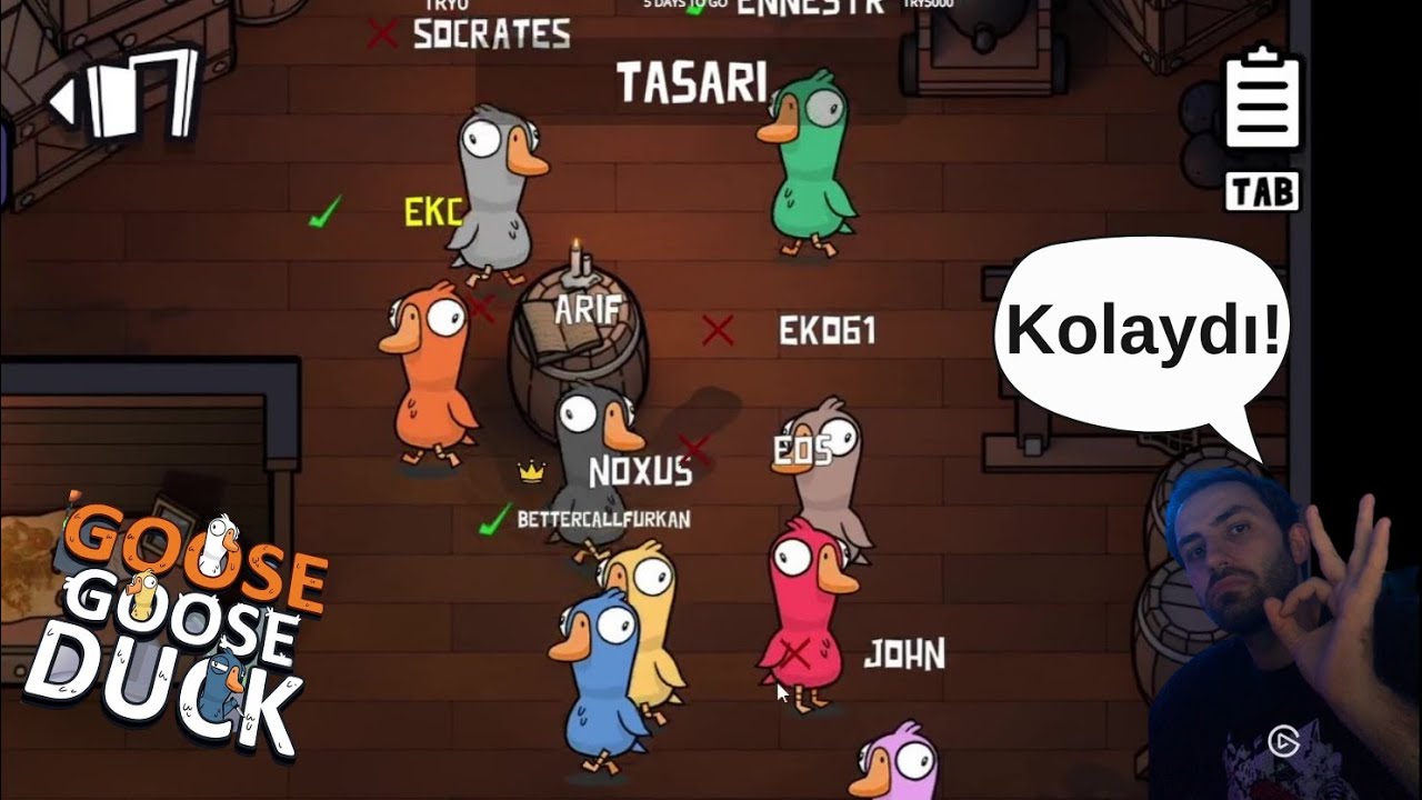 5 dakikada Pelikan nasıl oynanır? | Goose Goose Duck
