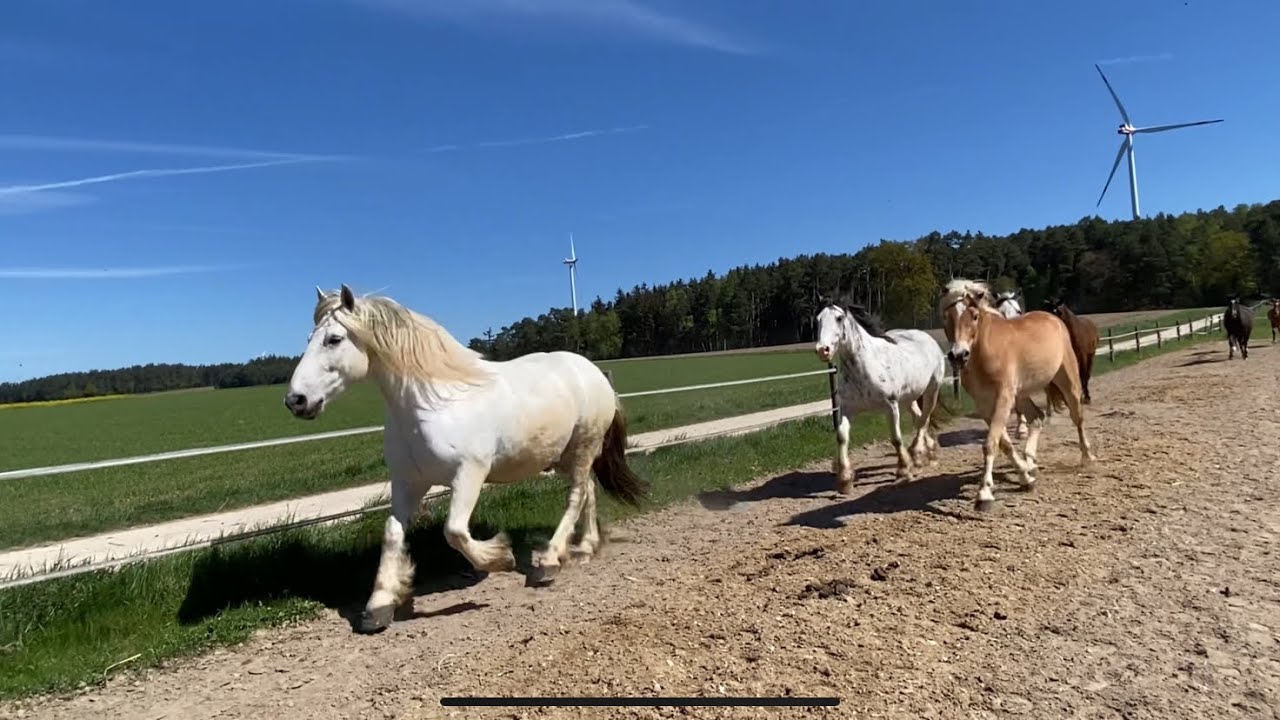 Wochenende 26.-28.4.2024