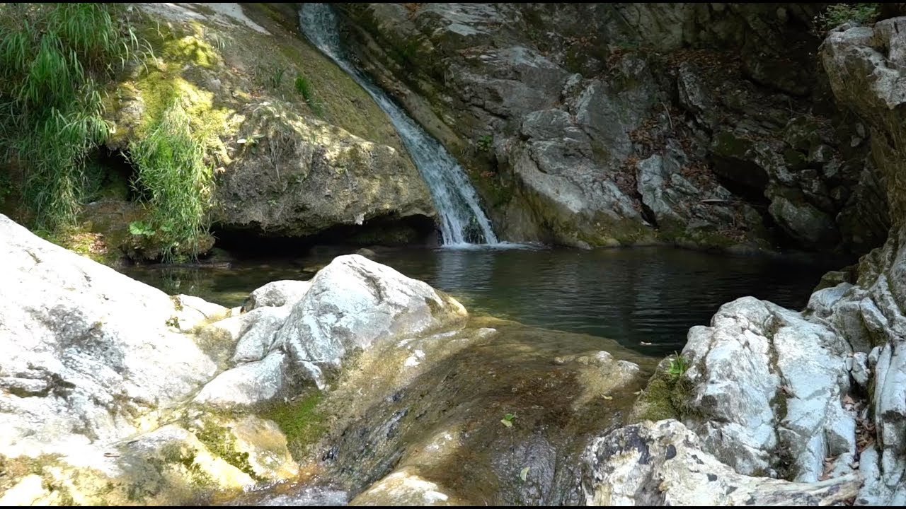 Viaggio sul Monte San Giorgio, la montagna patrimonio Unesco