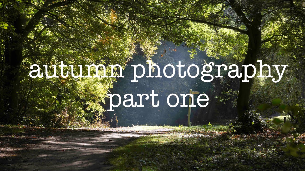 Autumn landscape photography