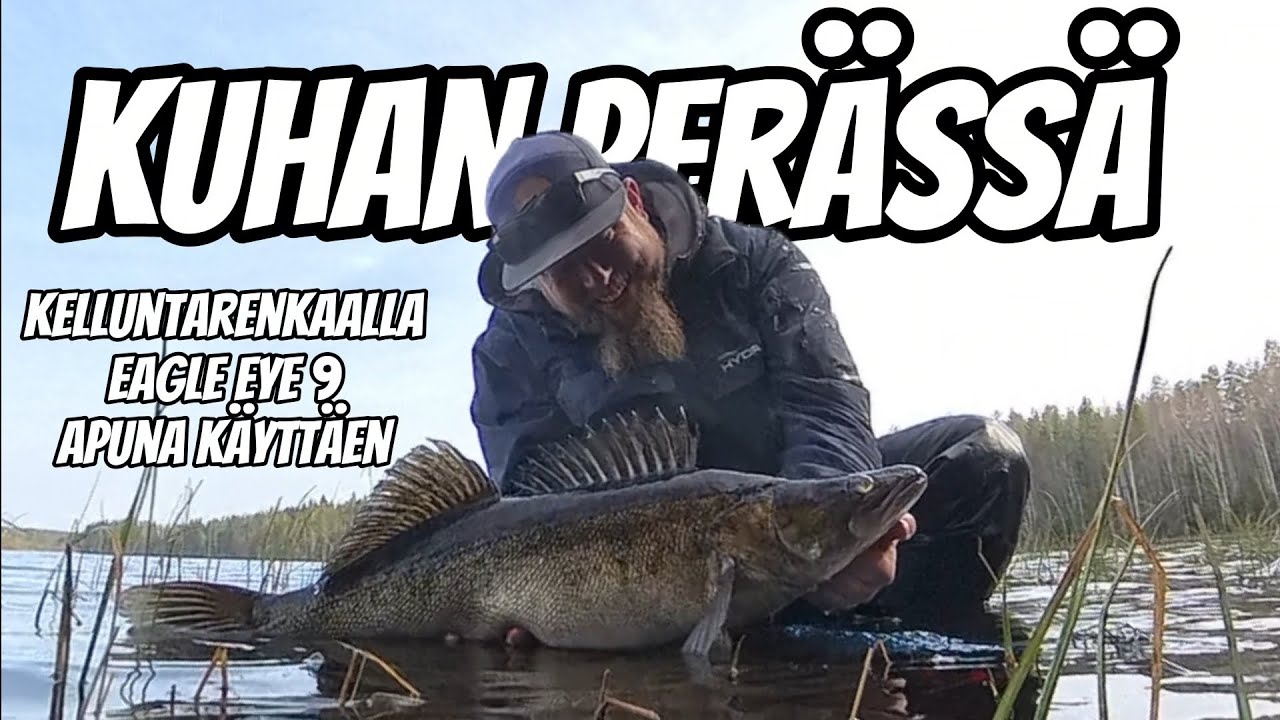 EAGLE EYE 9 - Kuhan perässä