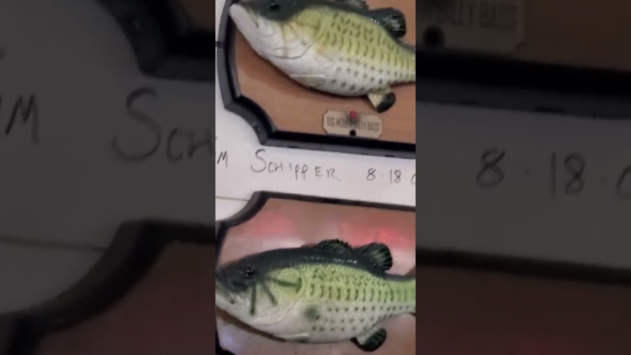 The Flying Fish Singing fish tour (Old video)