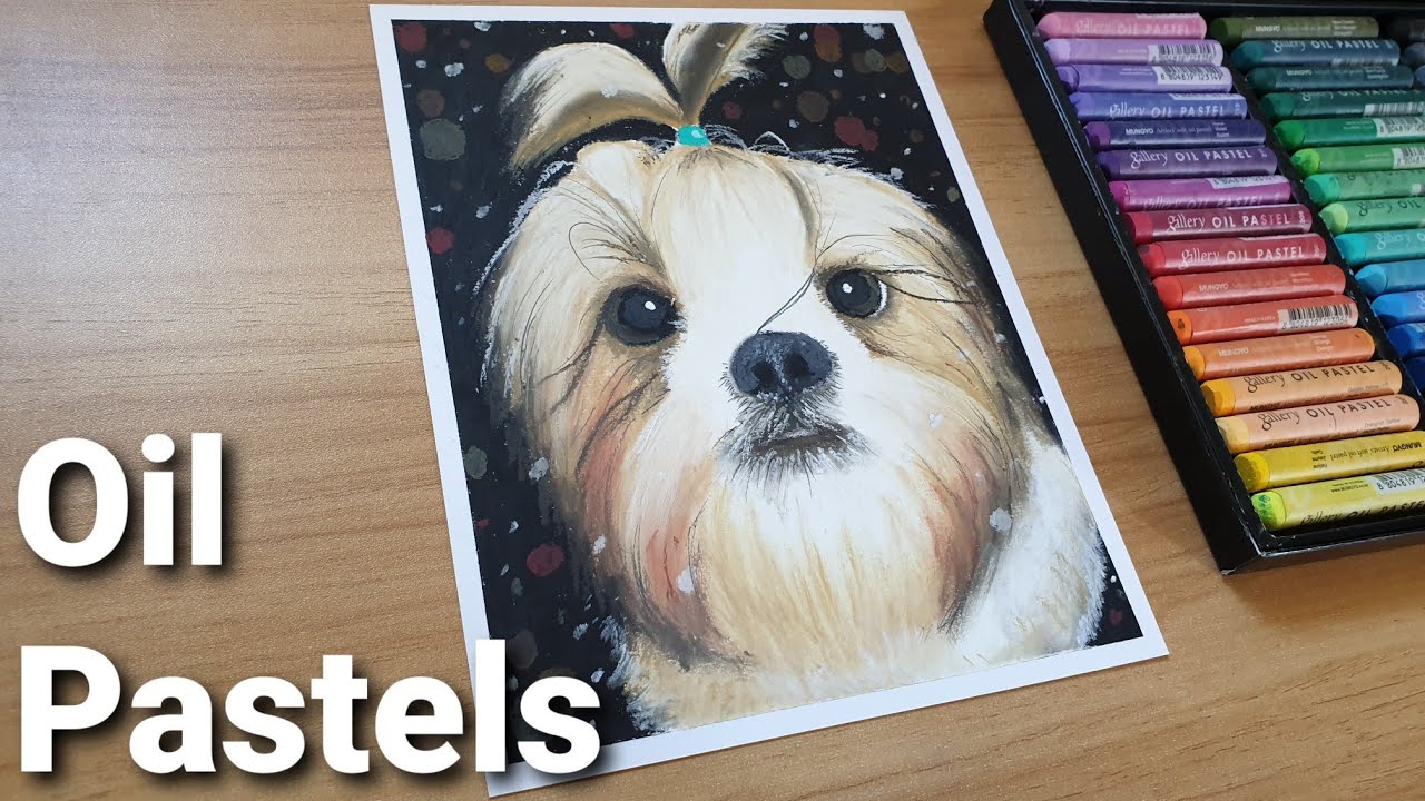 How to Draw a Shih Tzu Dog with Oil Pastel Drawing | bailey the Shih Tzu