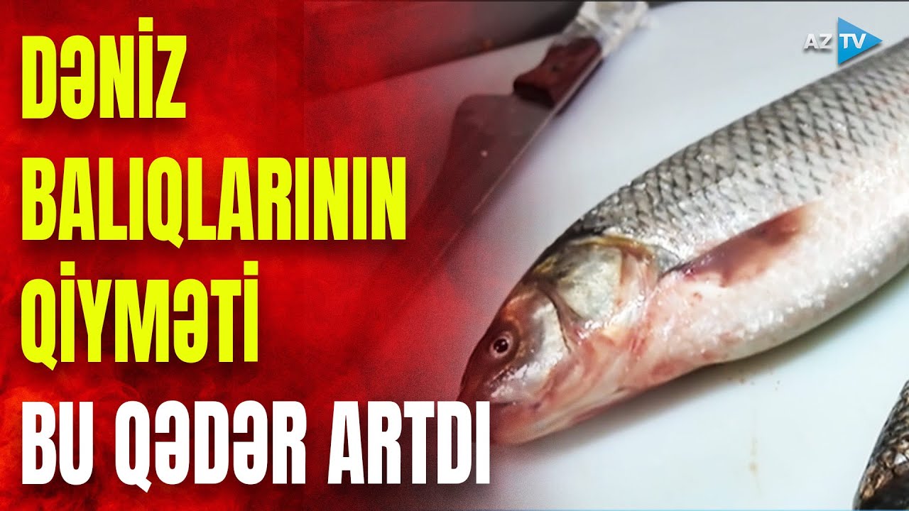 Dəniz balıqlarının qiyməti buna görə artdı: bazarda sorğu – SƏBƏB MƏLUM OLDU