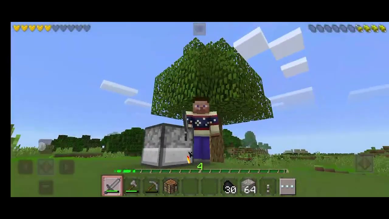 Minecraft #1