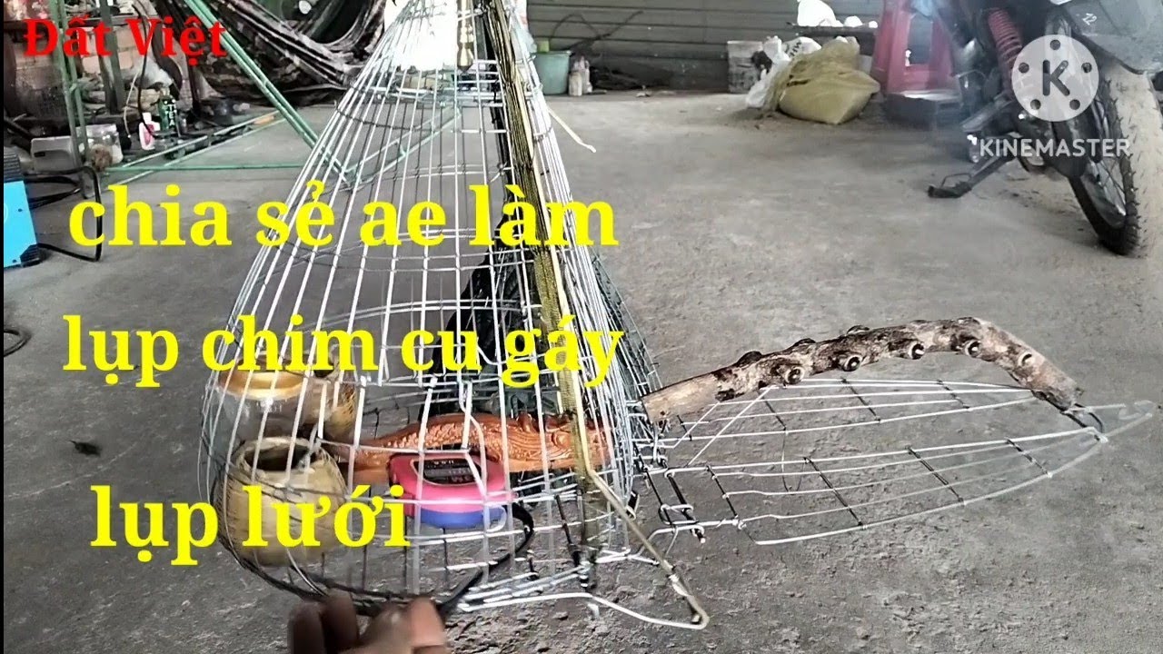 hướng dẫn làm lụp chim - lụp chim cu gáy, lụp lưới, lụp lá 1 mặt (phần 1)