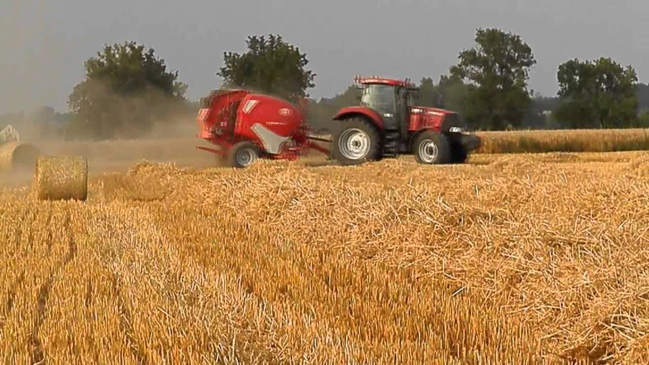 Żniwa 2014