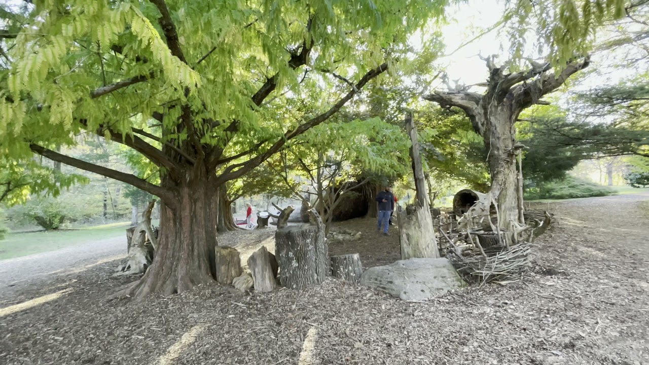 In short video, watch Thomas Dambo's Forest Giants of Bernheim