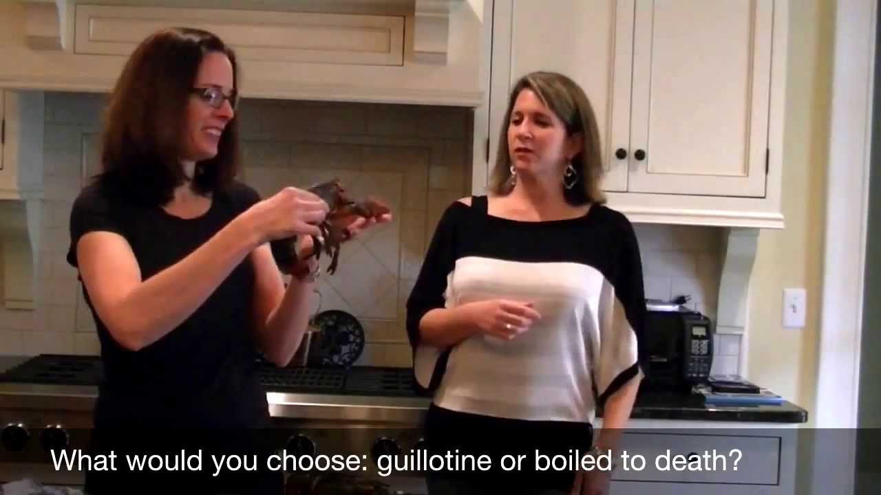Humane way to kill a lobster