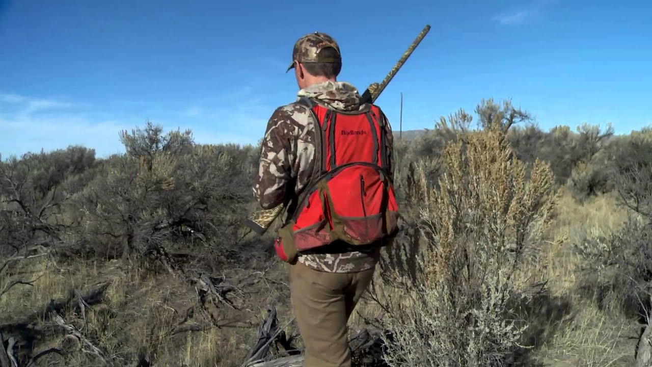 Steven Rinella and First Lite's Ryan Callaghan Hunt Quail in Idaho