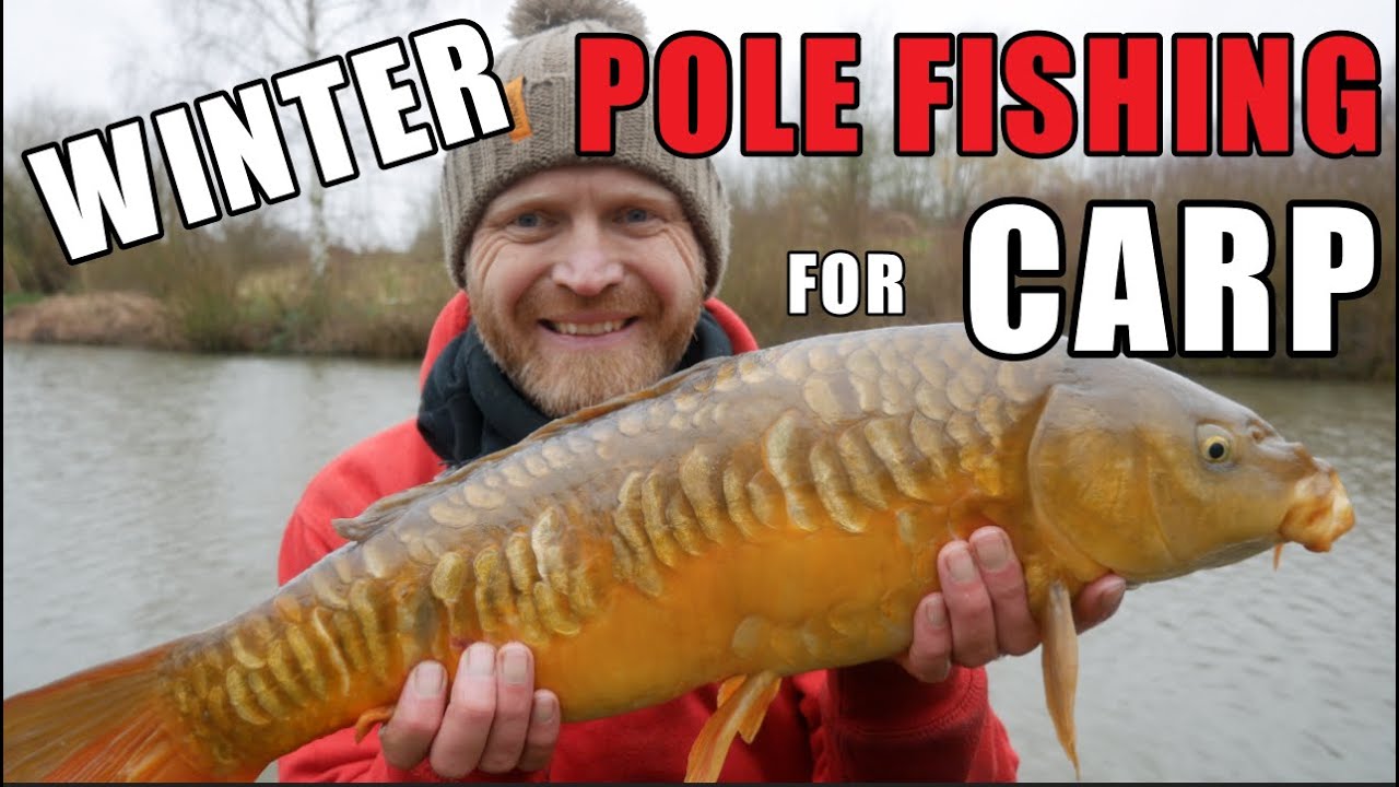 Winter Carp on the Pole | Small Baits = BIG Fish | Pole Fishing for Carp,  Rob Wootton Fishing.