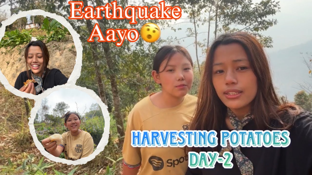 Earthquake Aayo Harey Thaha Nai Bhaye Na || Harvesting Potatoes || 