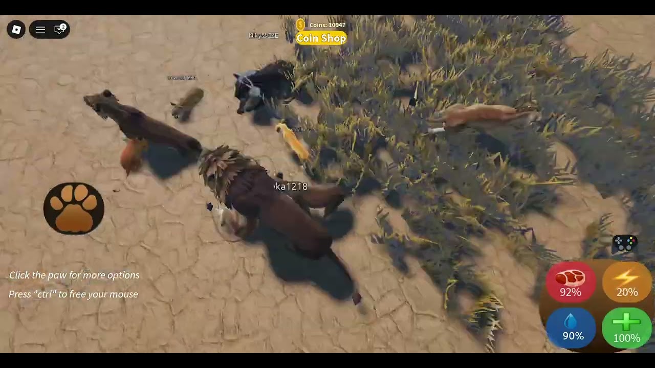 Lioness gameplay| Eternal Enemies| Roblox|