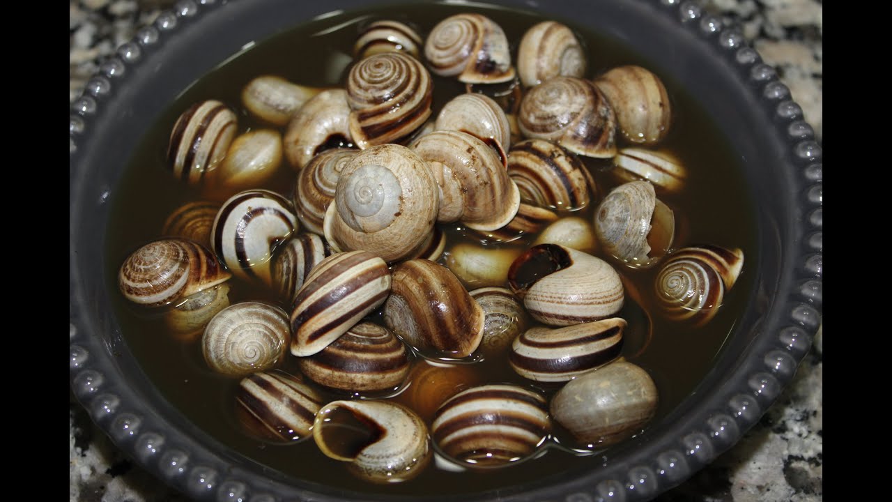 Les escargots à la marocaine -------- كيفية تحضير الحلزون على الطريقة المغربية