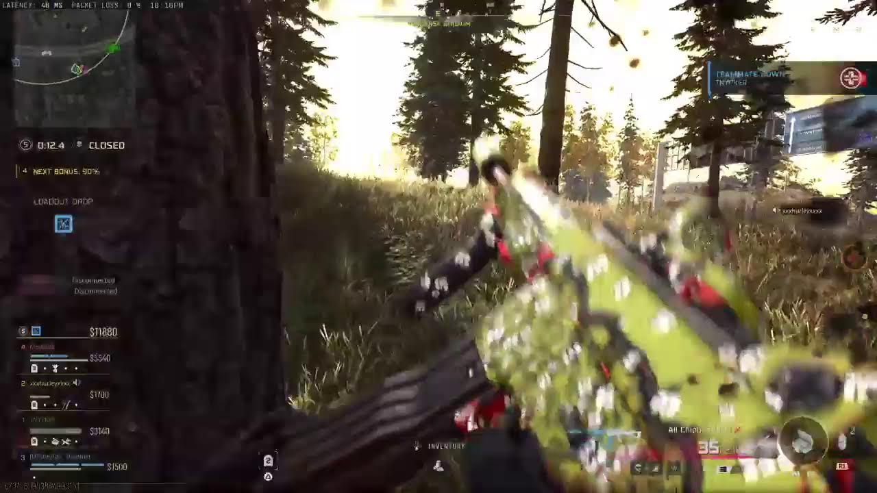 Tan_Hammer