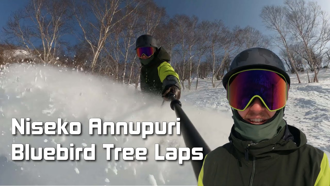 Niseko Annupuri: Bluebird Tree Laps
