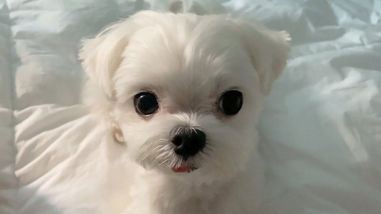 누나 왜 나 무시해