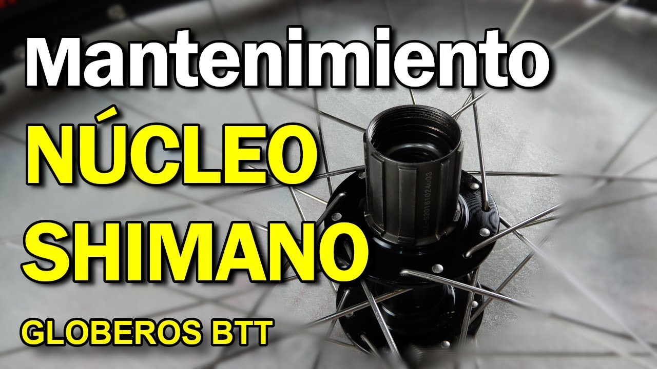 Mantenimiento del Núcleo Shimano Deore y XT | Globeros BTT