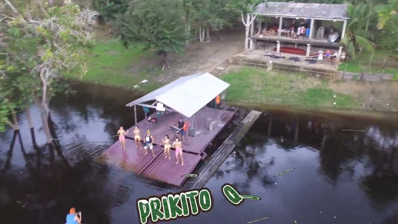 Prikito quer voar - Ricarth donnã
