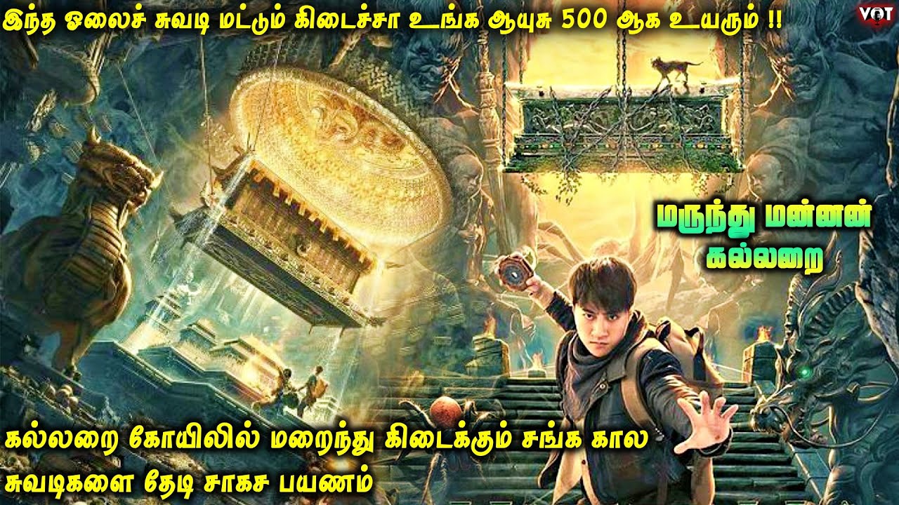 இந்த ஓலைச் சுவடி மட்டும் கிடைச்சா உங்க ஆயுசு 500 ஆக உயரும் | கல்லறை கோயிலில் சங்க கால சுவடிகள் | VOT