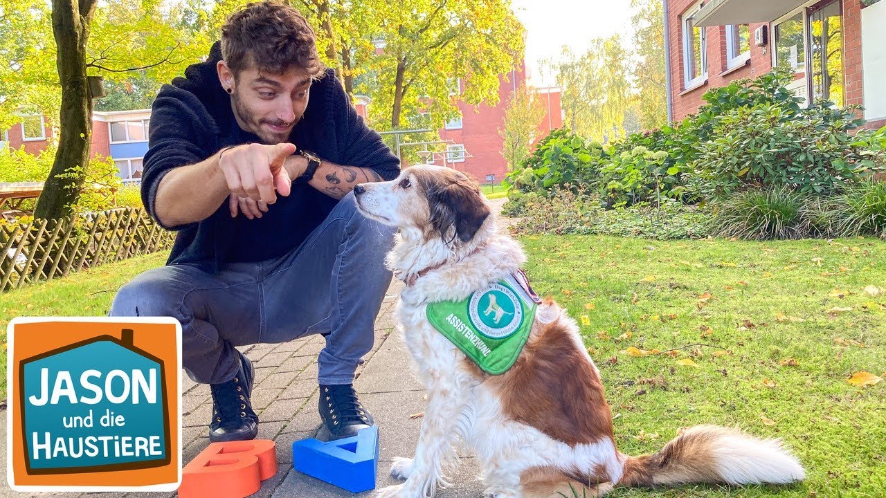Assistenzhund f&uuml;r Geh&ouml;rlose | Information f&uuml;r Kinder | Jason und die Haustiere