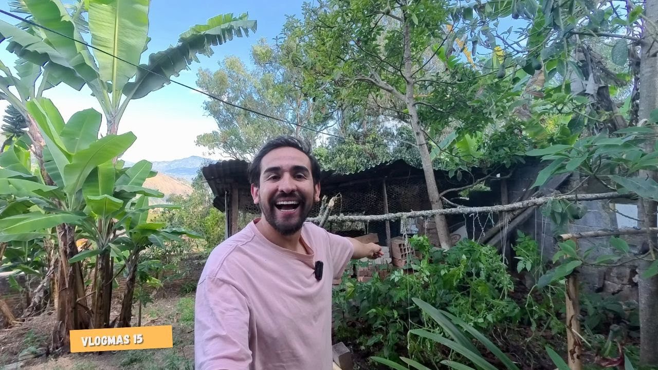 Estrené mi machete en la huerta de tomates cherry y aji (Vlogmas 15)