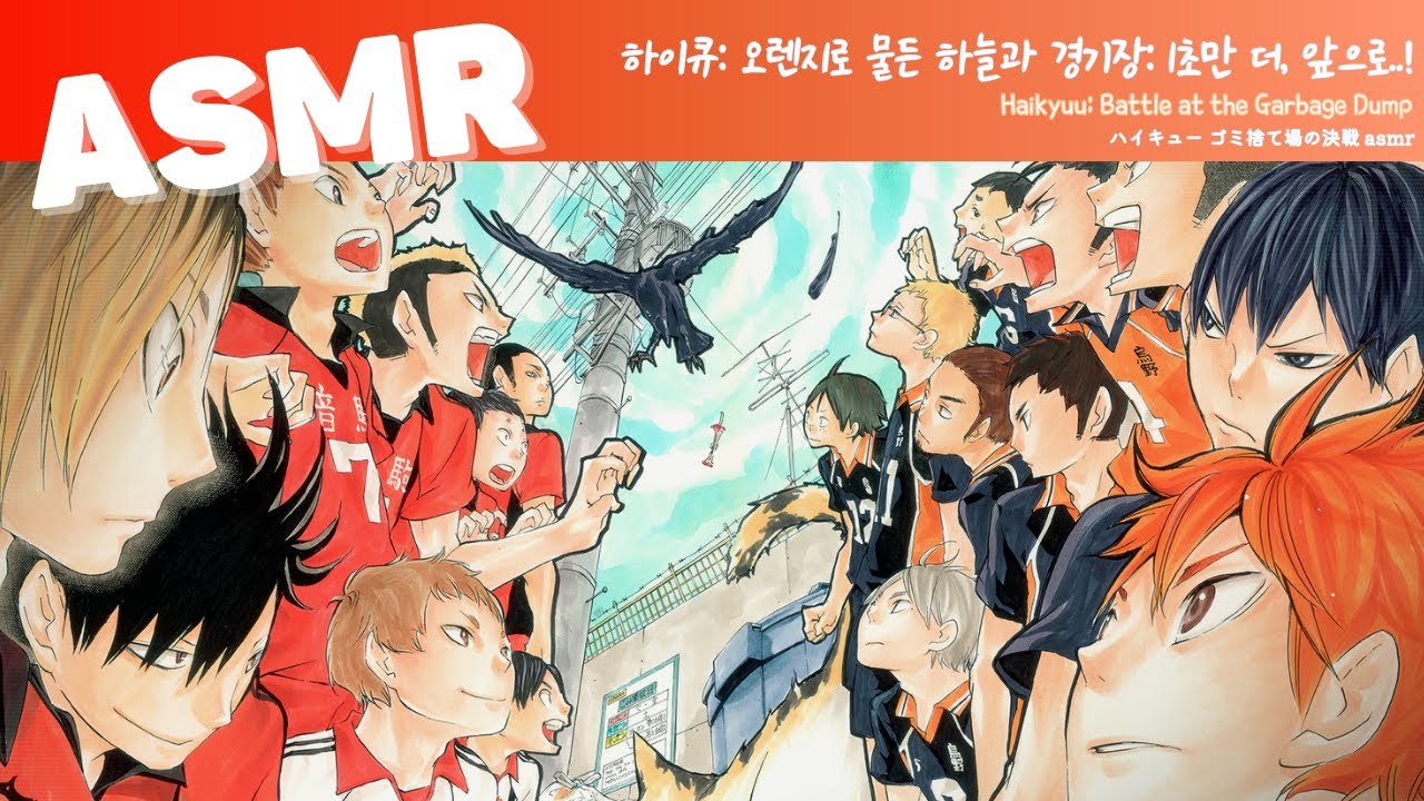 ASMR 하이큐!! 🐦‍⬛🐈 | 내일을 향하는 오렌지빛의 하늘로 날아가는거야 🌅🍊|  Haikyuu  Battle at the Garbage Dump | ハイキュー ゴミ捨て場の決戦