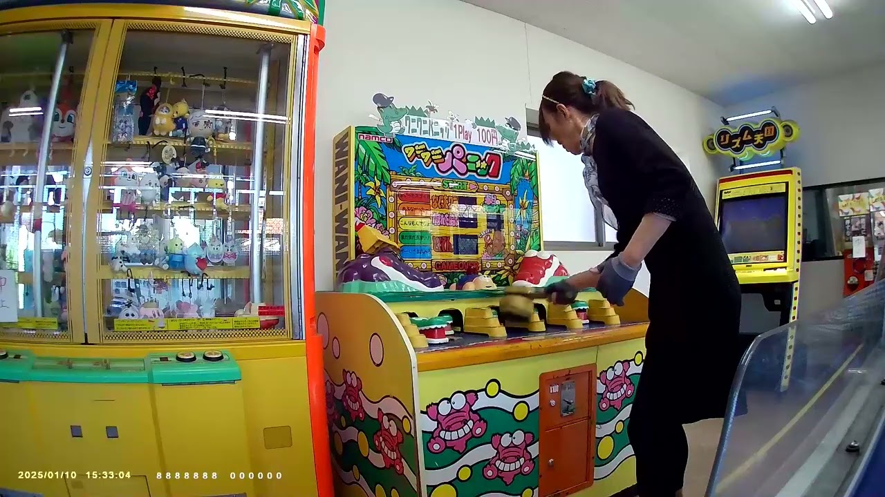 ワニワニパニックにチャレンジ！