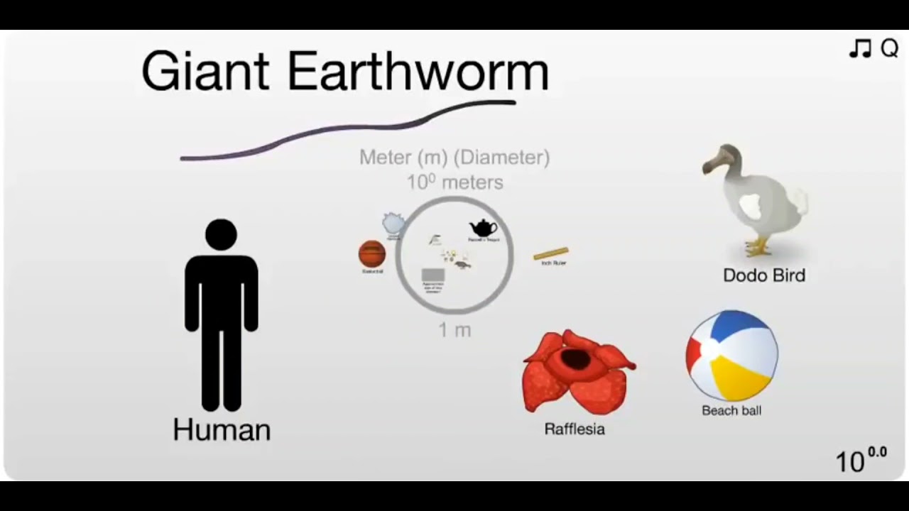 Smallest to Largest things of the Universe.