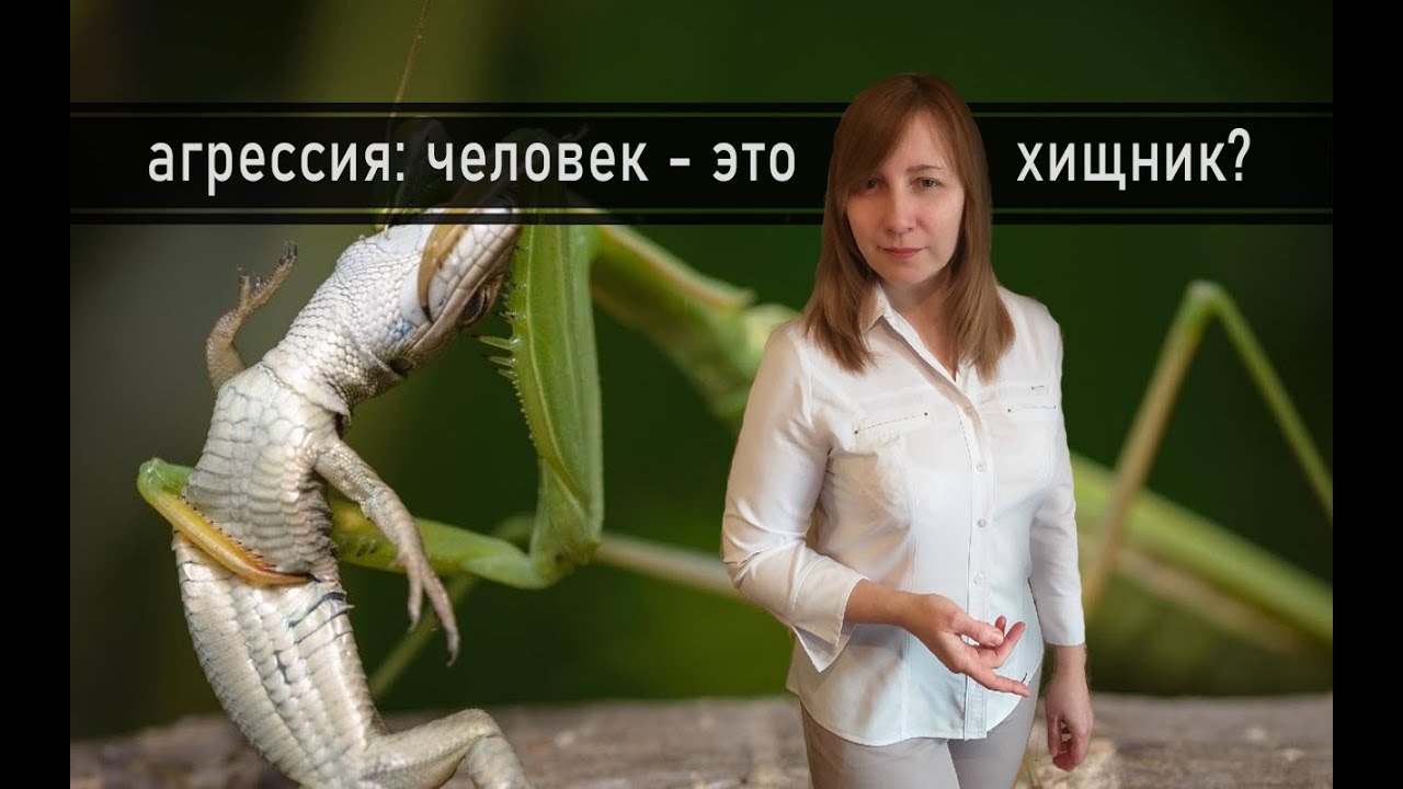 БИОЛОГИЧЕСКАЯ ПРИРОДА АГРЕССИИ. Конфликтология 78.