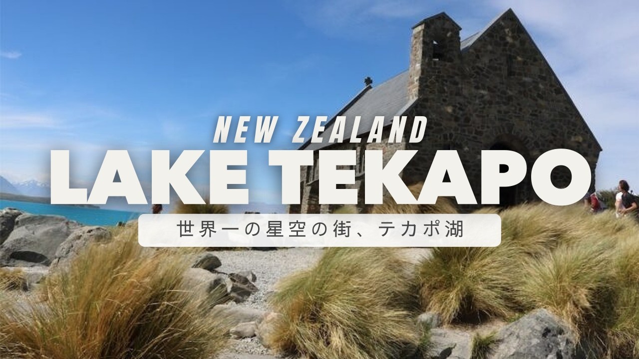 【NZ】テカポ湖の絶景旅｜鮮やかなミルキーブルーの湖と善き羊飼いの教会｜ルピナス咲く湖畔で味わう絶品サーモン丼