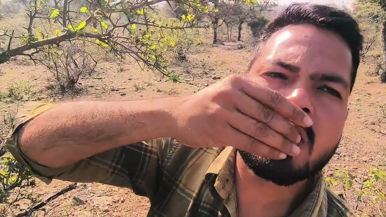 Jungal trip bhoot khatarnak hai guys 