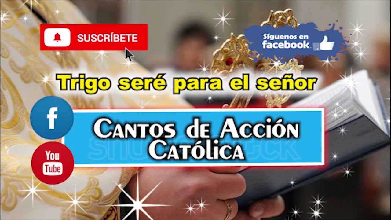 🟣 Trigo seré para el señor, Mensajeros de la virgen de fatima, cantos catolicos