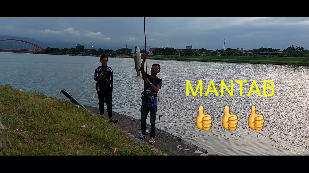 TUTORIAL MANCING IKAN BELANAK, UMPAN CACING LAUT LANGSUNG STRIKE