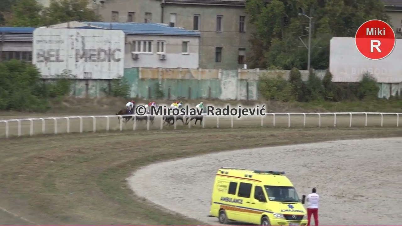 7 ma trka PEHAR PREDSEDNIKA REPUBLIKE 2400m