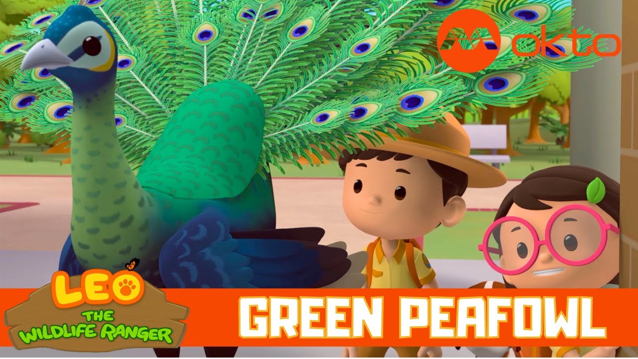 BIG BIRDS with EMERALD Green necks?! 🦚 | Leo the Wildlife Ranger Spinoff S5E05 | @mediacorpokto
